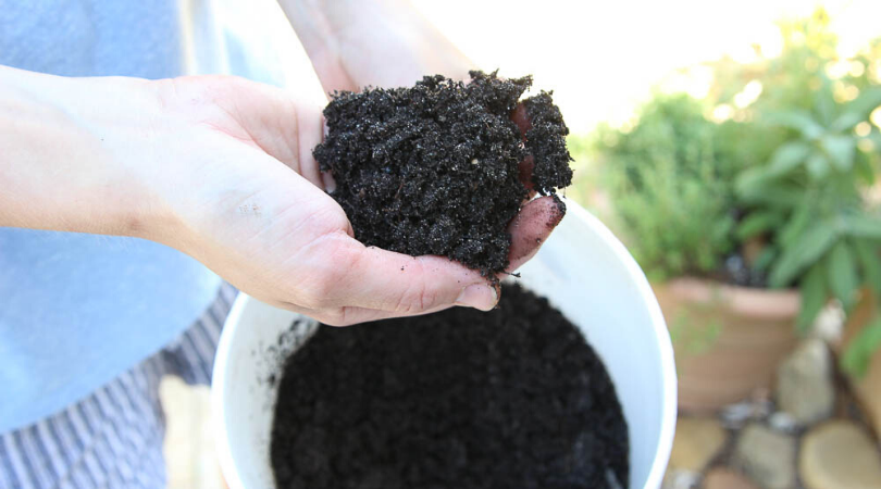 Compost is ready
