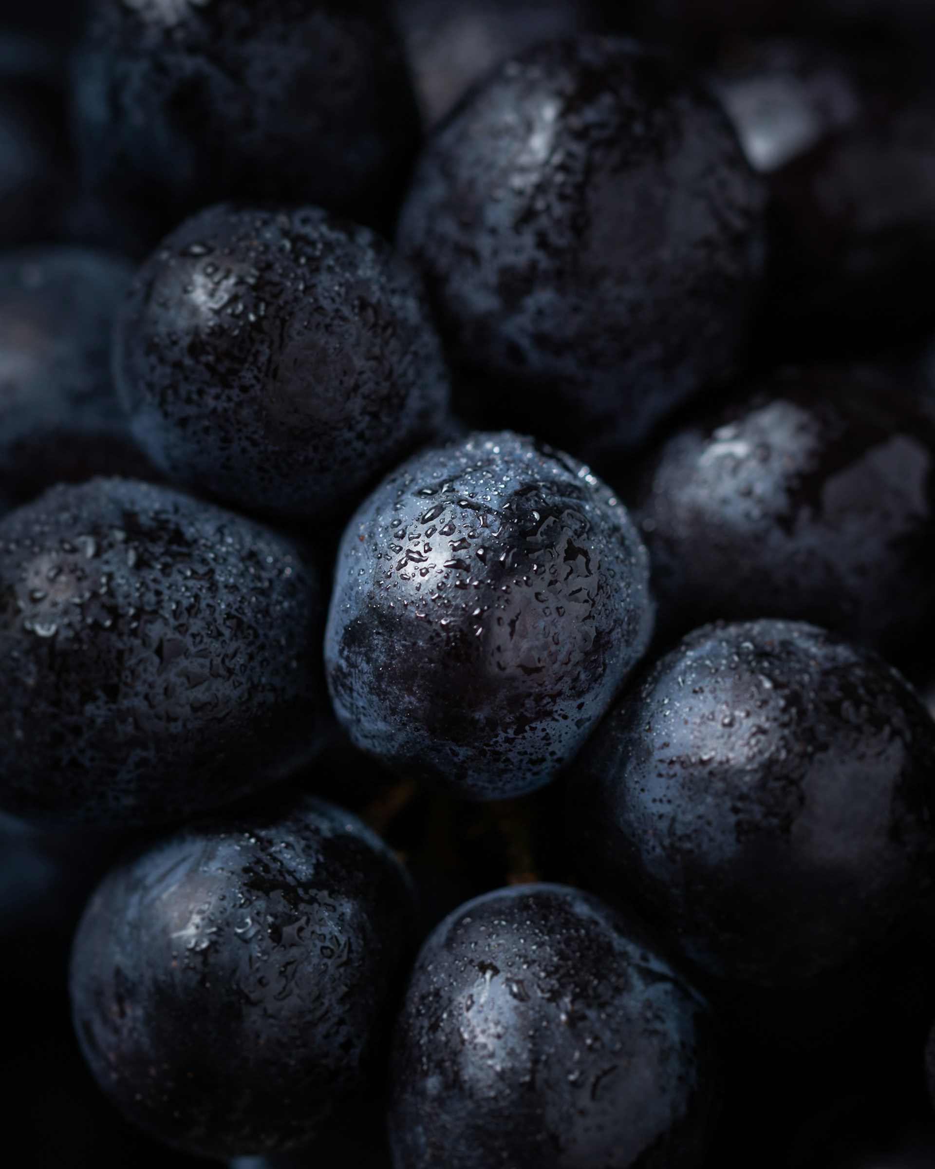 Can I Compost Moldy Fruit?